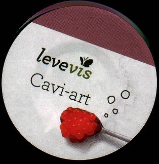 Cavi-art, lg.